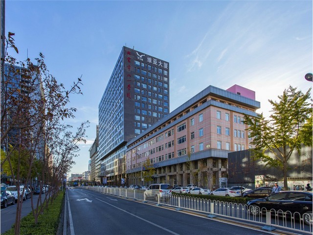 晋江万达君子兰出租