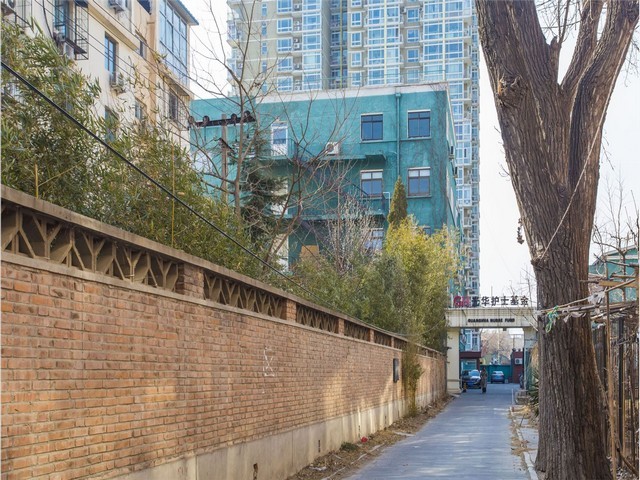 黄浦区冷链运输